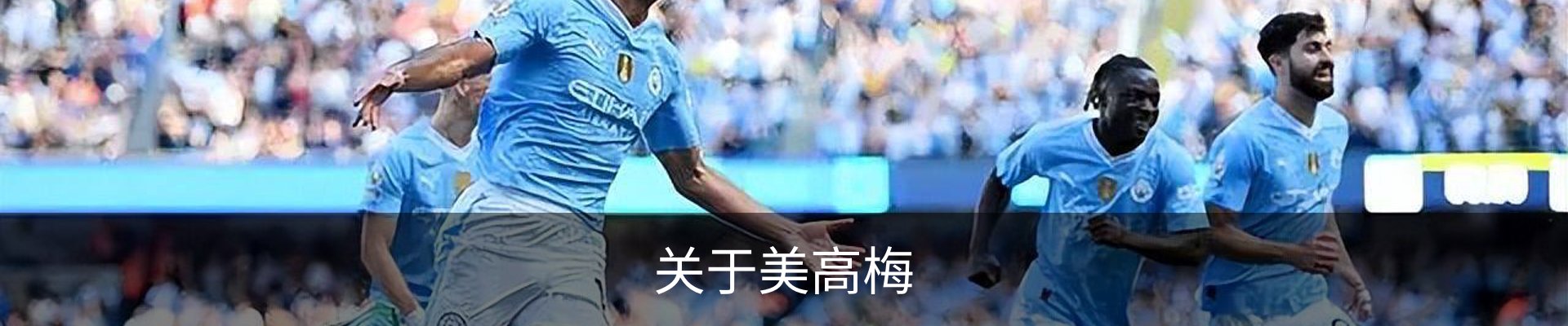 关于美高梅
